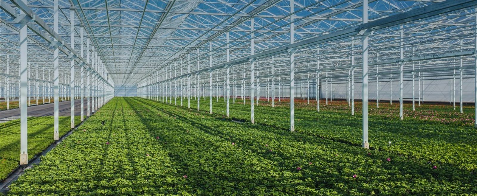 Hydrofarm